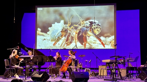 NYU Screen Scoring performing in front of movie screen